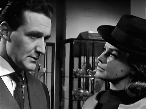 immortal-clay-steed-cathy