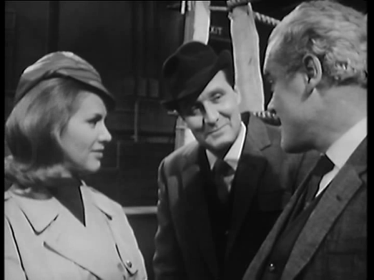 killer-whale-steed-cahty