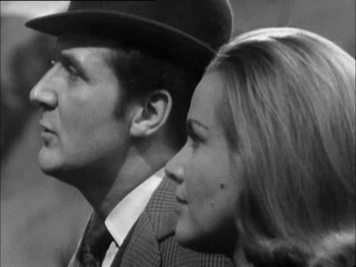 steed-cathy-mandrake